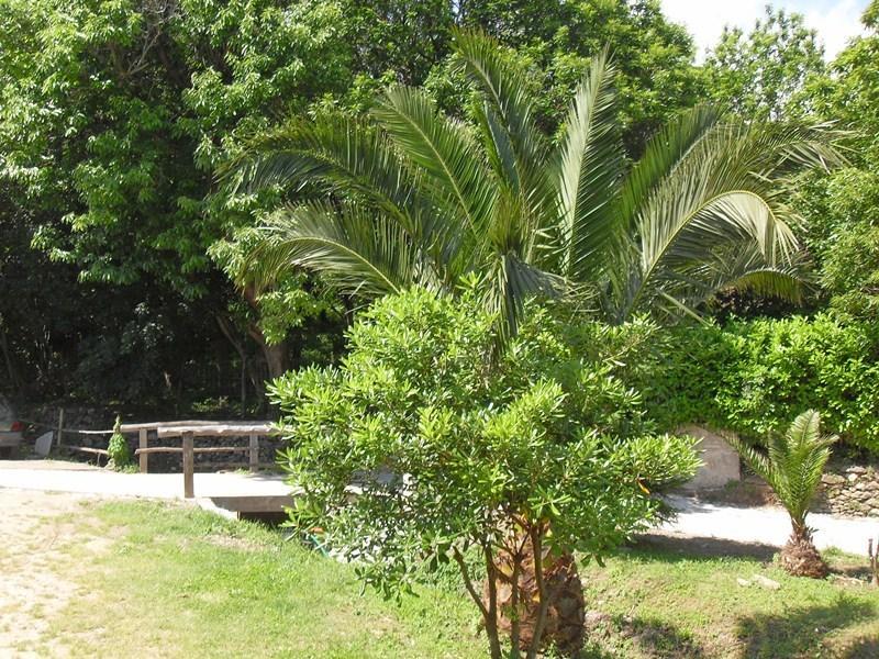 Chambres Le Relais De Sisco Pokój zdjęcie